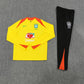 Brazil 2025/26 Tracksuit